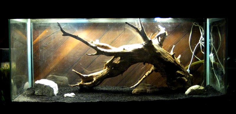 168 gallon tank