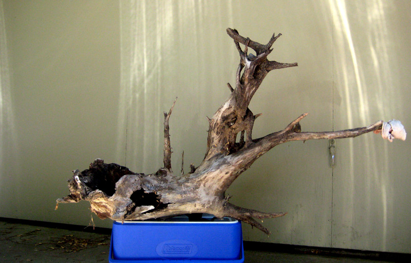 168 gallon tank