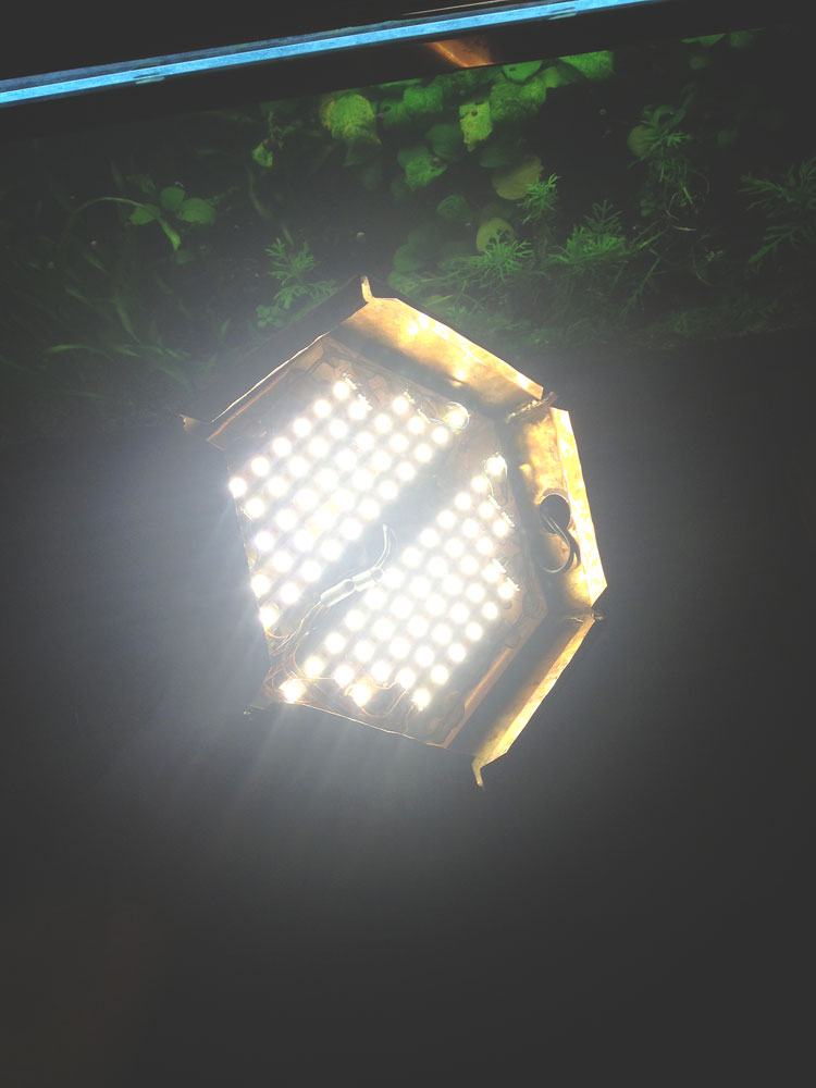 copper aquarium hexagonal hex