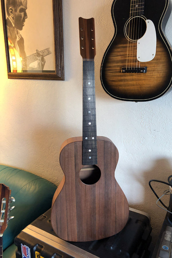 parlor guitar no frets