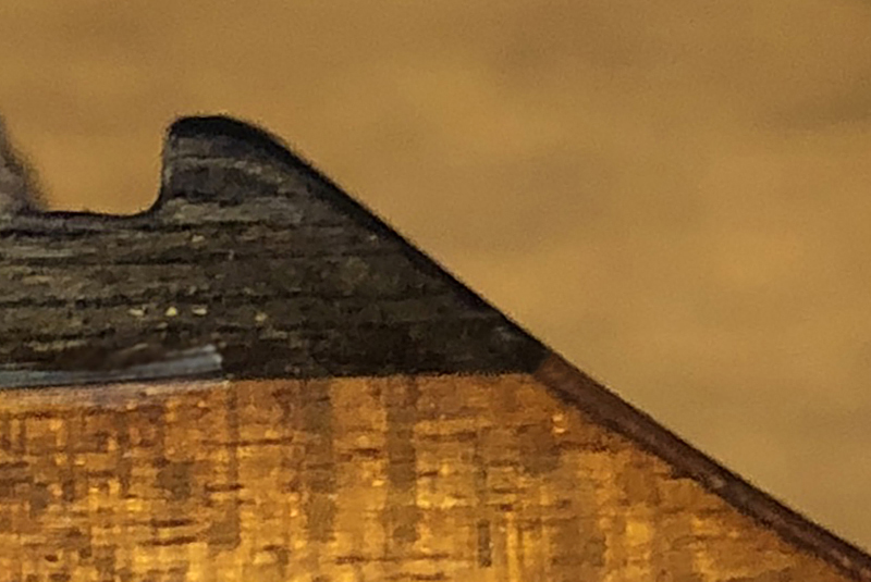 joint