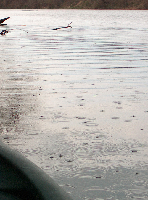 rain